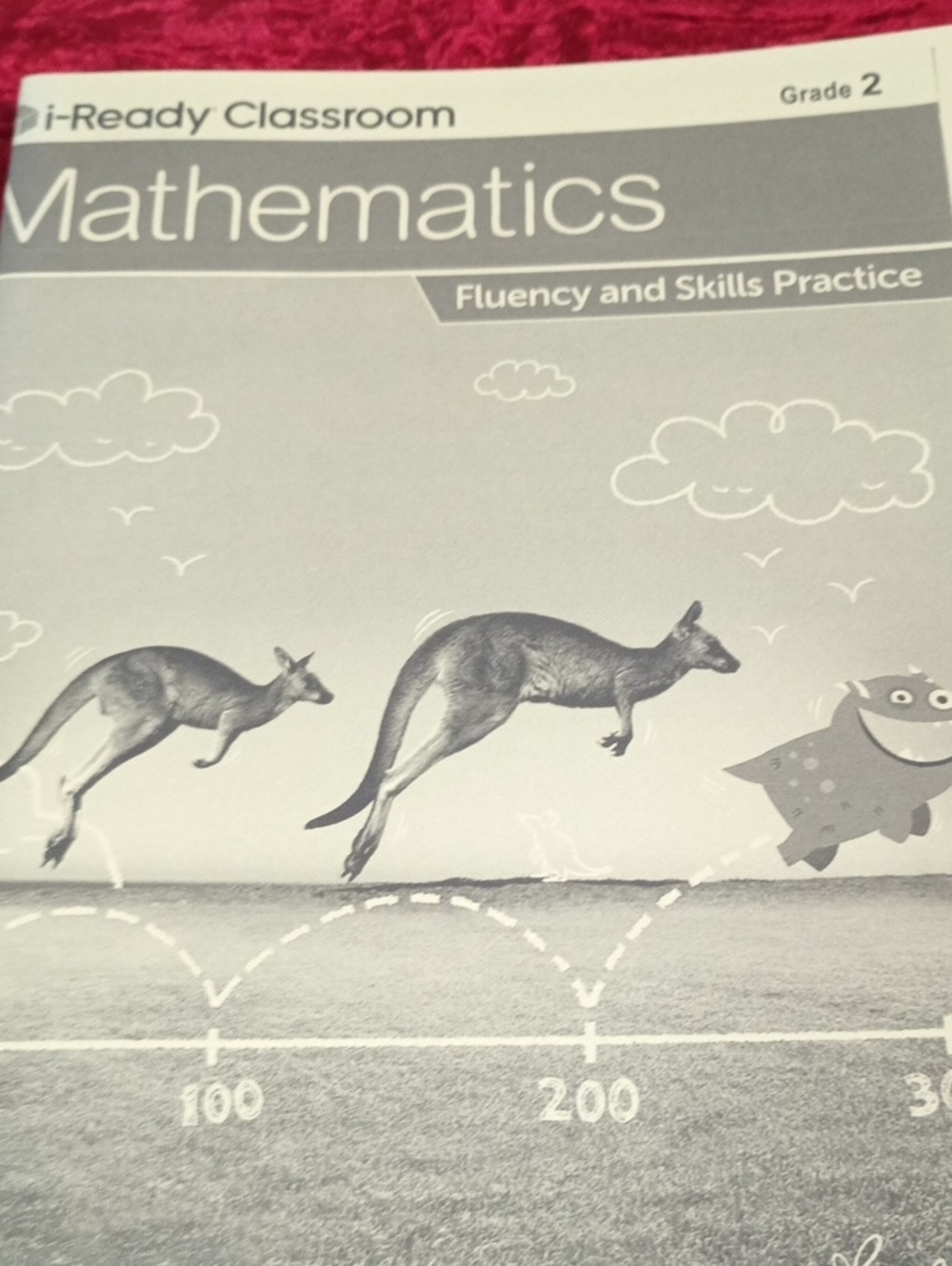 i-Ready classroom Mathematics Grade 2 Fluency And Skills Practice Book